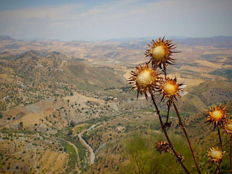 Drovan Elqu Buenos Aires